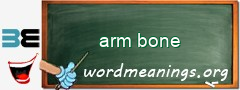 WordMeaning blackboard for arm bone